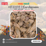 बड़ी इलाइची Badi Elaichi