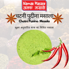 Pudina Chatani Masala
