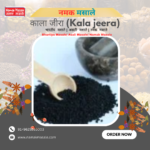 काला जीरा Kala Jeera